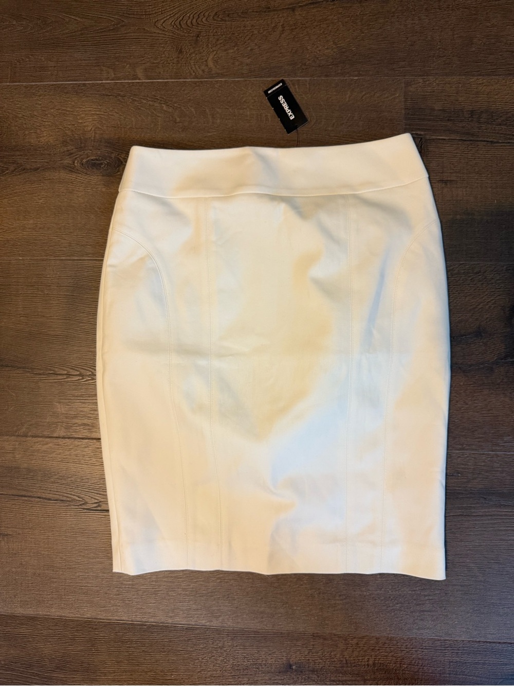 Express Pencil Skirt